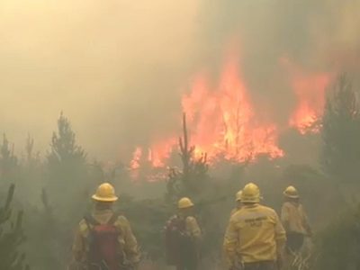Alerta en la Patagonia: se incendiaron 30 mil hectáreas este verano