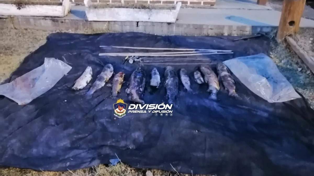 El botín incautado en el Nahuel Huapi. Fuente: (Policía de Neuquén)