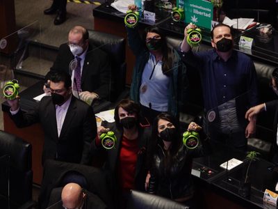 Comisión del Senado recibe anteproyecto de reforma que legaliza el cannabis