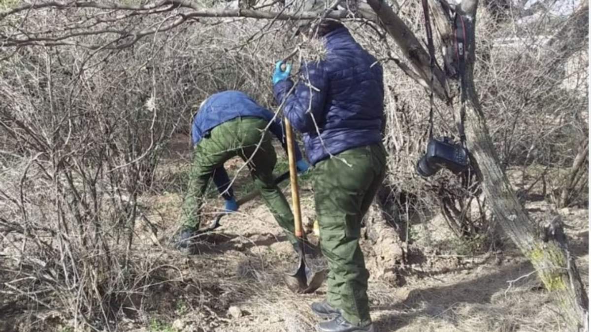 Búsqueda de restos humanos en Luis Moya, Zacatecas