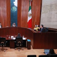 Tribunal revocó la sanción contra la activista Emma Zermeño por mensajes contra Almendra Negrete