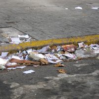 "¡A juntar, a juntar!": Cipolletti quiere calles sin botellas plásticas