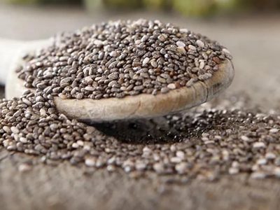 Superalimento: así podés germinar las semillas de chía y obtener unos brotes para acompañar cualquier plato