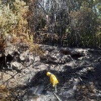 Bomberos voluntarios de Villa La Angostura lograron contener un incendio en el barrio Las Balsas