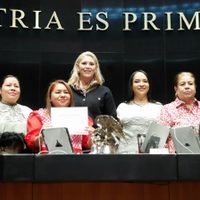 El Senado aprueba por unanimidad la reforma que limita las “pensiones doradas”