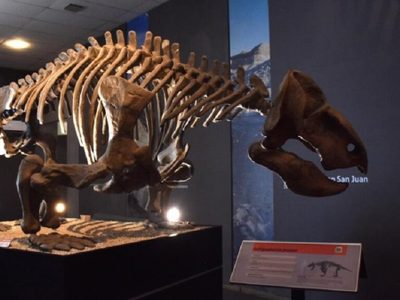 Hallazgo paleontológico: encuentran en Ischigualasto un dinosaurio que vivió hace 230 millones de años