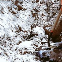 Exhuman cuatro cuerpos de "narcofosa" descubierta en Acapulco