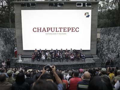 Arte/Ver para creer El arte en la 4T: discrecionalidad en hermandad