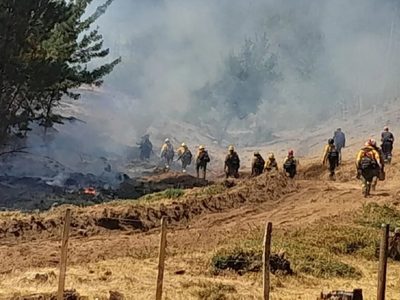 Preocupación por dos focos de incendios activos en la zona de Aluminé