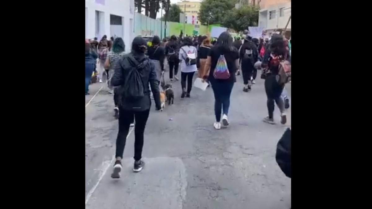 La marcha feminista en Edomex