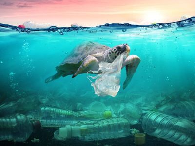 El turismo es uno de los principales contaminantes de los mares