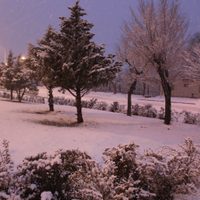 Zapala: el regreso de las grandes nevadas