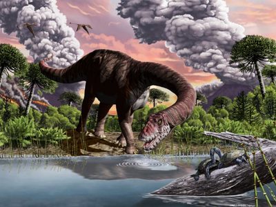 Una nueva especie de dinosaurio encontrada en Chubut devela misterios del período Jurásico