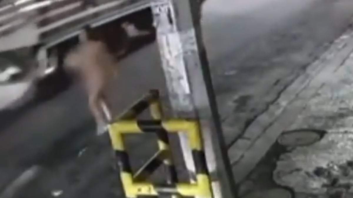 Una de las cámaras que captaron a la mujer