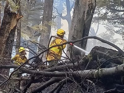 Brigadistas del incendio en Valle Magdalena recibieron una gratificación de 1 millón de pesos