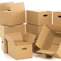 Guardá solo 1 caja de cartón: creá este contenedor con toda la onda para guardar cosas en tu hogar