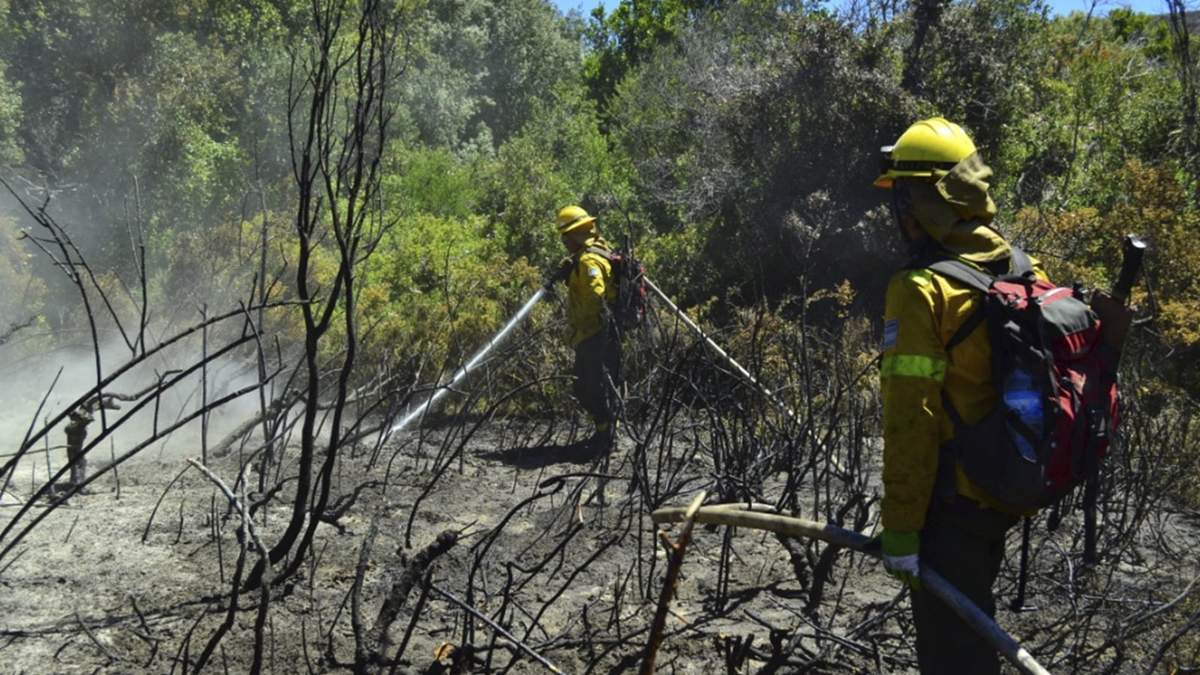 Incendios al sur de Bariloche. Fuente: (Twitter)