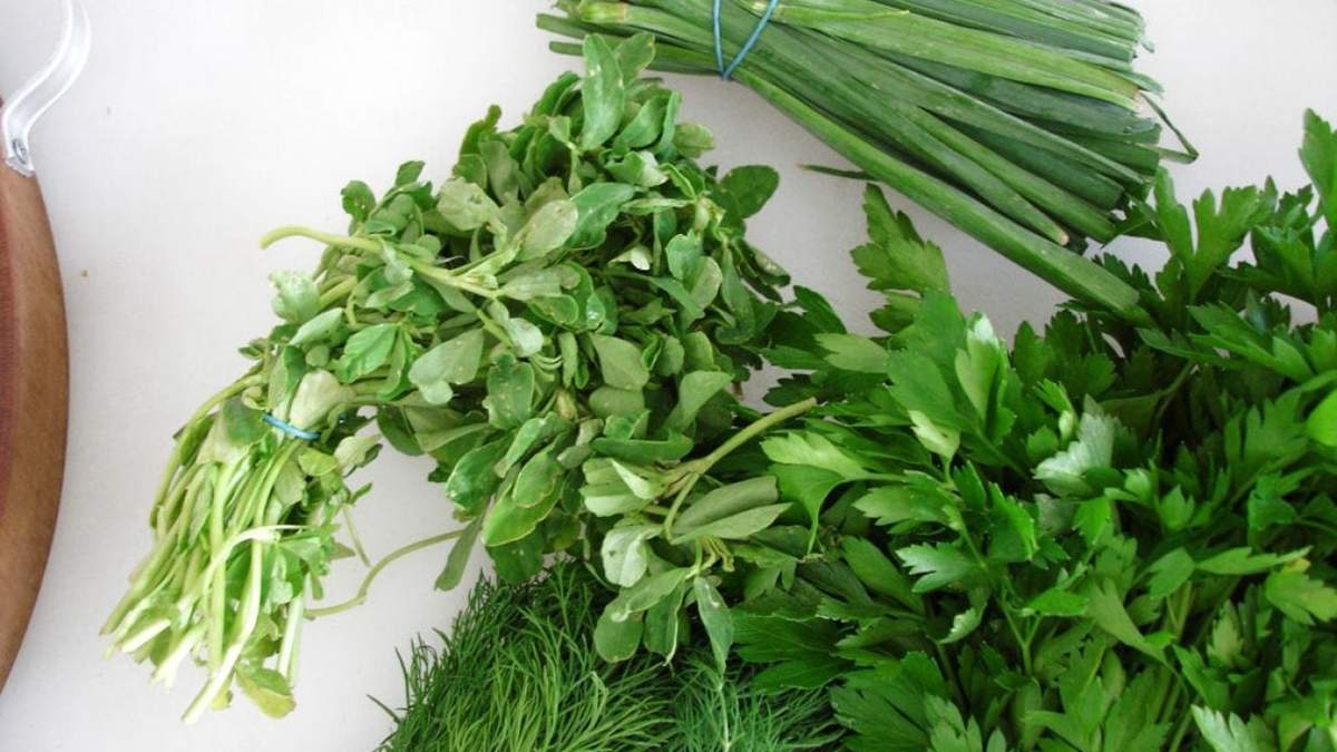 Hierbas aromáticas. Fuente: (Instagram)