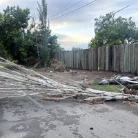 Árboles caídos y casas anegadas: el balance de la tormenta en Mendoza