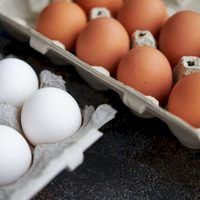 No tires el cartón de huevos y transformalo en un espectacular organizador que te va a salvar