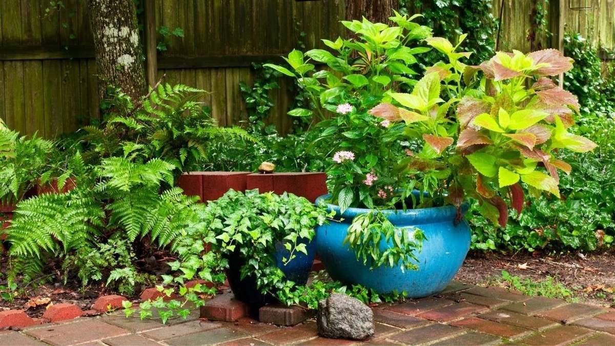 Insectos y plantas. Fuente: (Instagram)