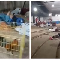 Corrigen a la Fiscalía de Guerrero: fueron 13 muertos y 21 heridos en palenque de Petatlán