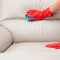 Con 2 ingredientes y un truco que pocos aplican, dejá el tapizado de tus sillas y sillón como nuevos