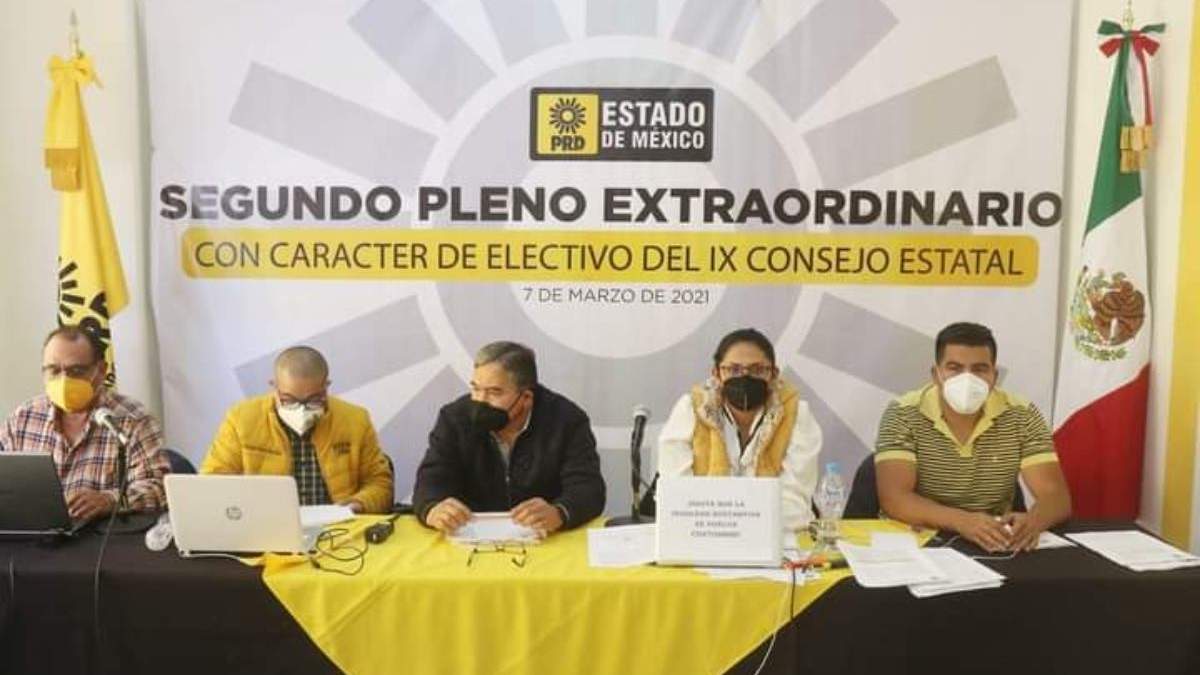 Consejo Extraordinario Electivo Estatal