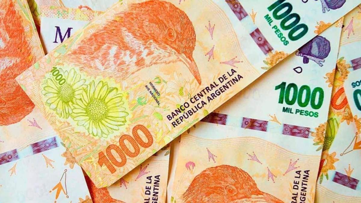 La ANSES paga el medio aguinaldo en junio y diciembre. Fuente: (X)