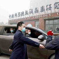 La OMS asegura que el brote de coronavirus en Wuhan fue peor de lo informado