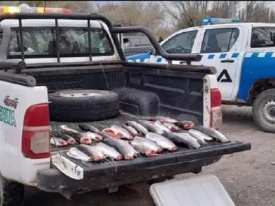 En diferentes operativos secuestraron armas, equipos de pesca y piezas de caza furtiva