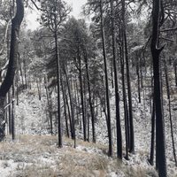 Alertan por nevadas, lluvias y vientos ante la entrada del frente frío #35