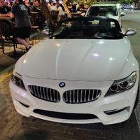 Cuánto cuesta el auto de lujo que conducía ebrio el concejal libertario