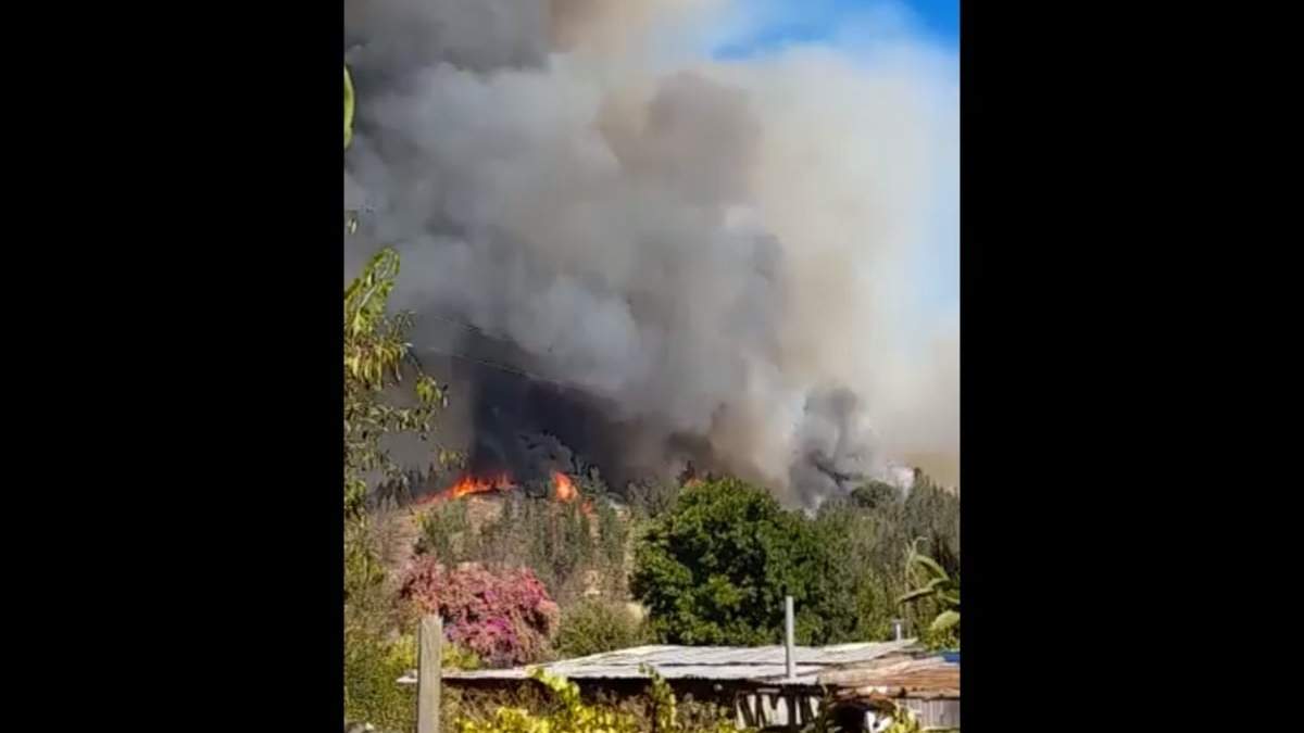 Uno de los incendios forestales en Chile