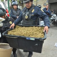 Sedena Leaks revela radiografía del crimen organizado en CDMX y Edomex