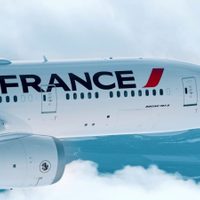 Terror en los aires: un vuelo de Air France aterrizó de emergencia en Beijing por una falla mecánica