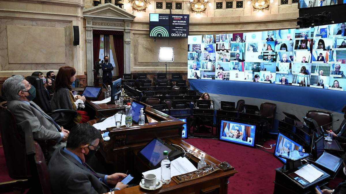 Sesión virtual en el Senado de la Nación. Fuente: (Twitter)