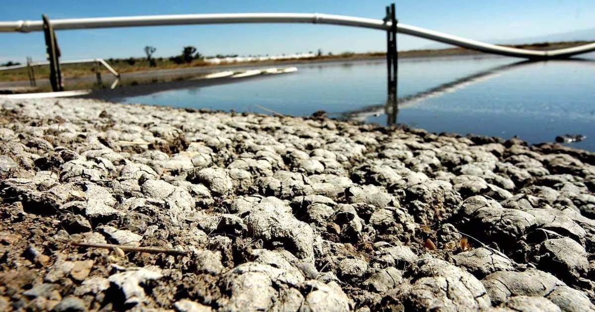 Exigen ONG no criminalizar a defensores del agua que protestan contra Granjas Carroll