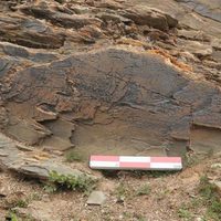 La única piedra grabada conocida de la dinastía Qin