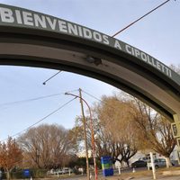 "Plaga peligrosa": Alerta en Cipolletti