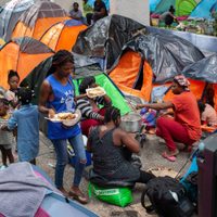 Mexicanos desconocen causas de la migración, revela encuesta de ACNUR