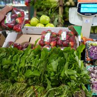Una familia mendocina necesitó $1.180.842,79 para no ser pobre en diciembre