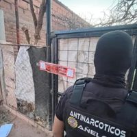 Narcomenudeo en Rincón de los Sauces: tres detenidos y allanamientos en domicilios señalados como puntos de venta