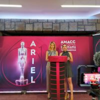Pese a olvido de Cultura, AMACC anuncia realización del Ariel; arrasa "Roma" en nominaciones