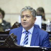 Rolando Figueroa le pidió a Nación explicaciones por los incendios en Aluminé