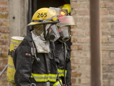 Maltrato animal en El Bolsón: un bombero mató a un perro y desató la indignación