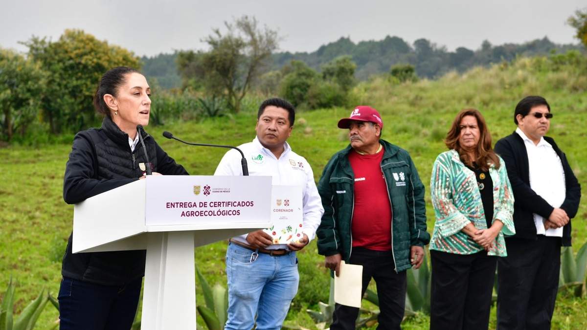 La jefa de gobierno, Claudia Sheinbaum