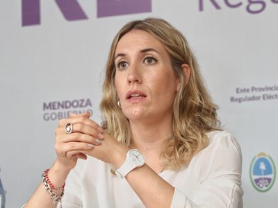 Representantes de energía se reunieron en la Cámara de Diputados