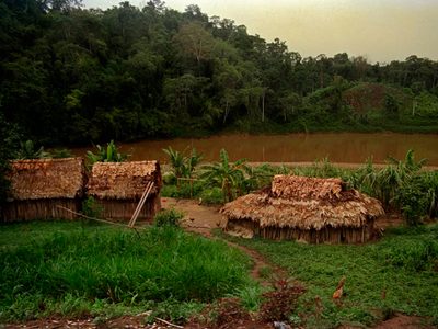 Pueblos indígenas, indefensos ante biopiratería