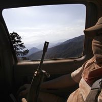Gobernador de Michoacán culpa a autodefensas de extorsionar a limoneros